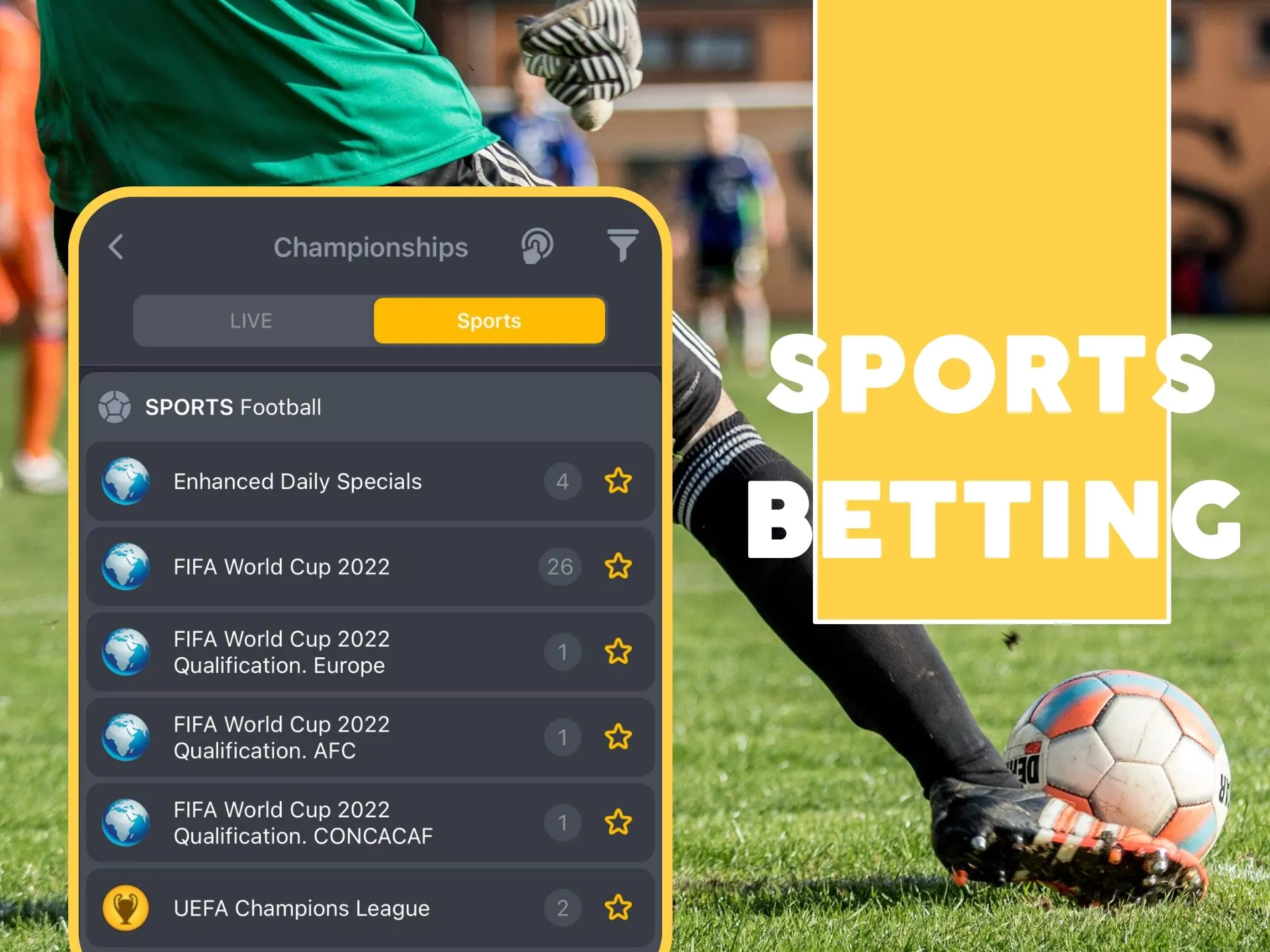 You'll find a wide range of sport disciplines in the BetAndYou sportsbook.