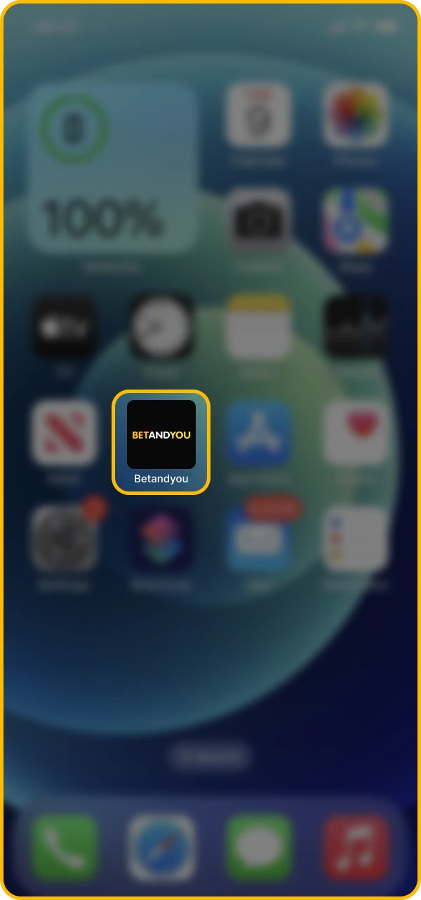 Run the installation process.