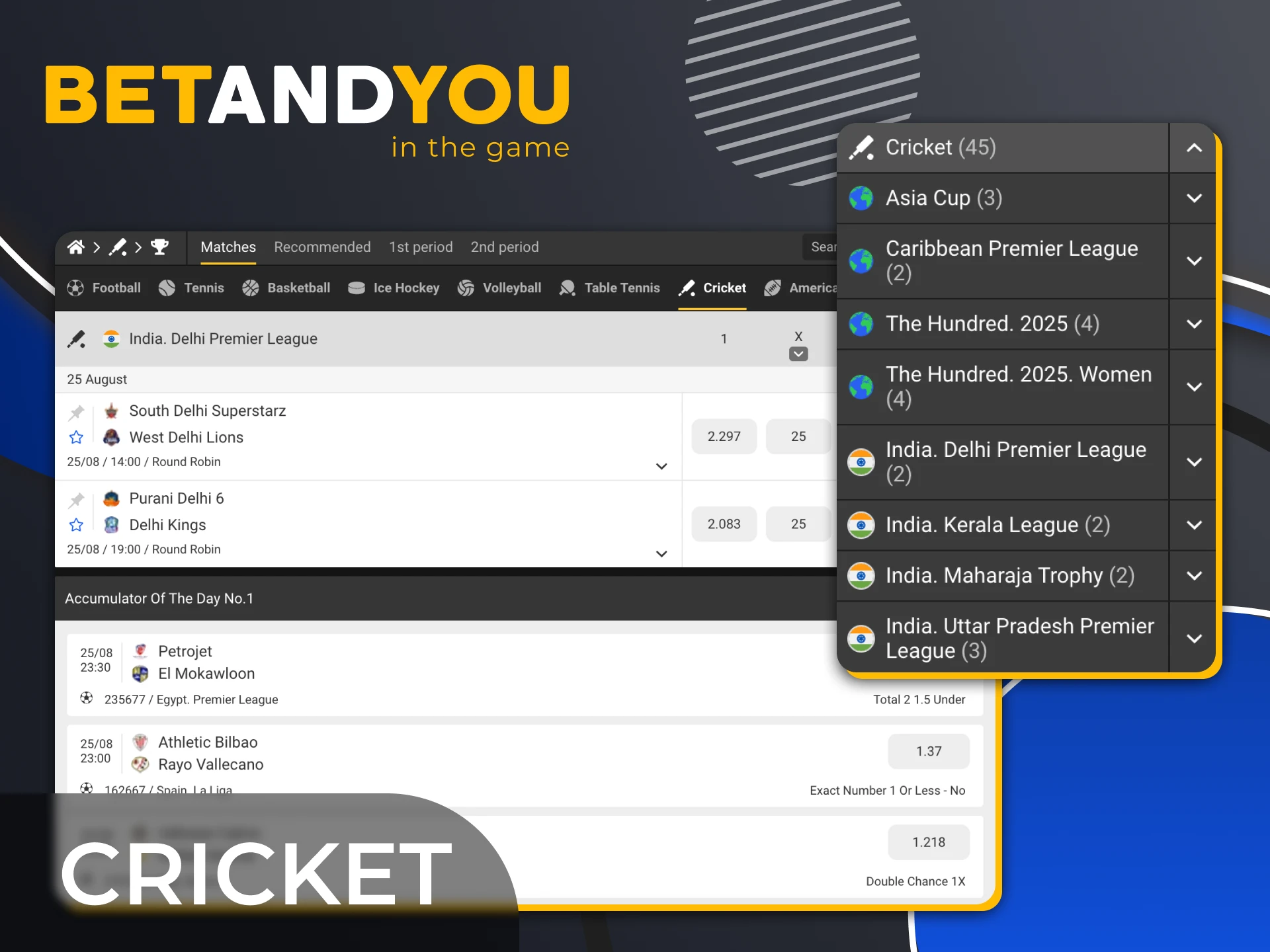 You can find almost all existing cricket leagues in Betandyou sportsbook.