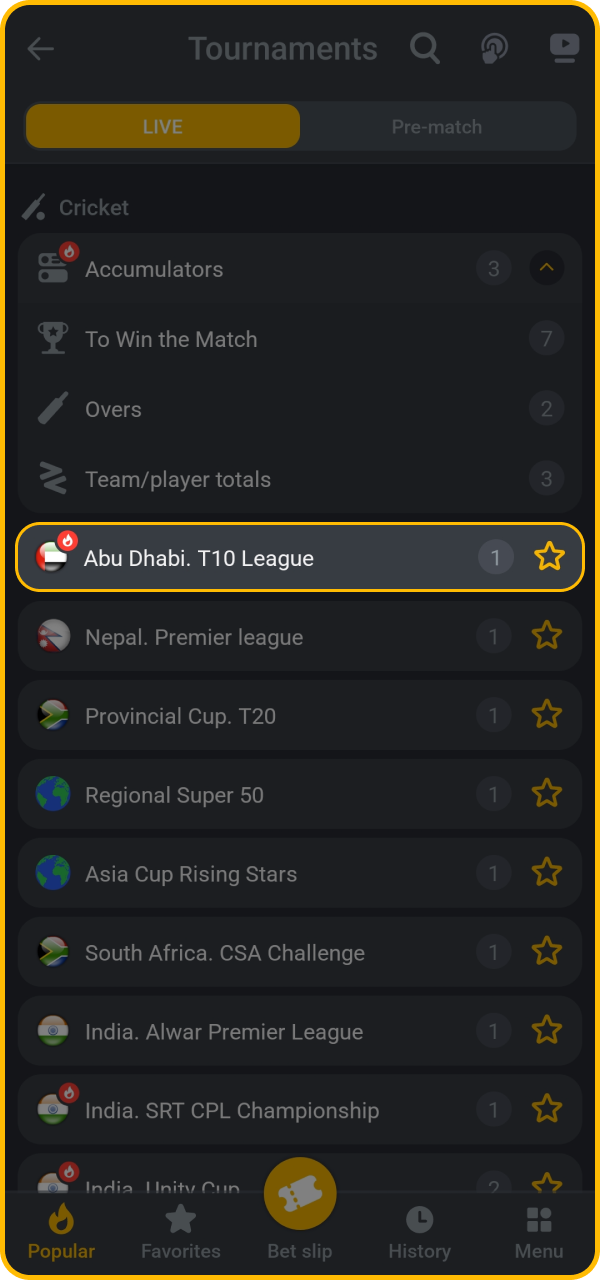 Find all major cricket leagues and tournaments available at BetAndYou.